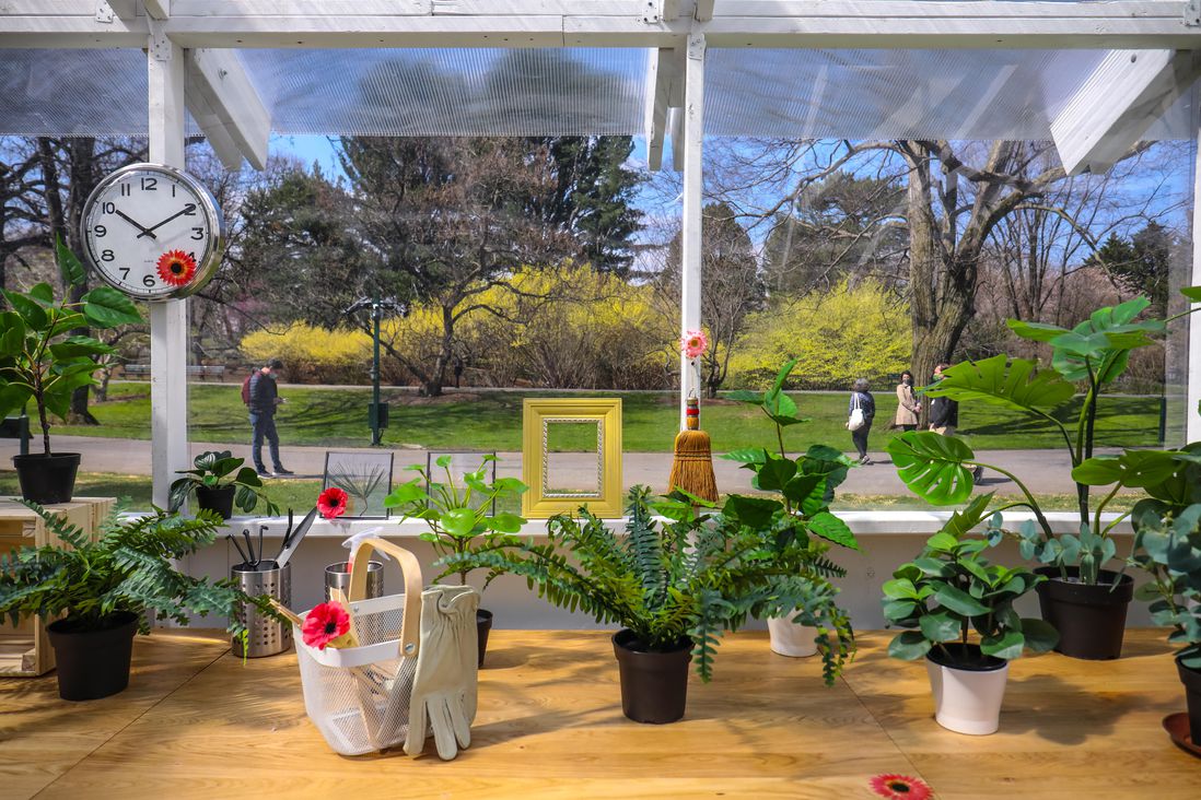 Kusama at New York Botanical Garden